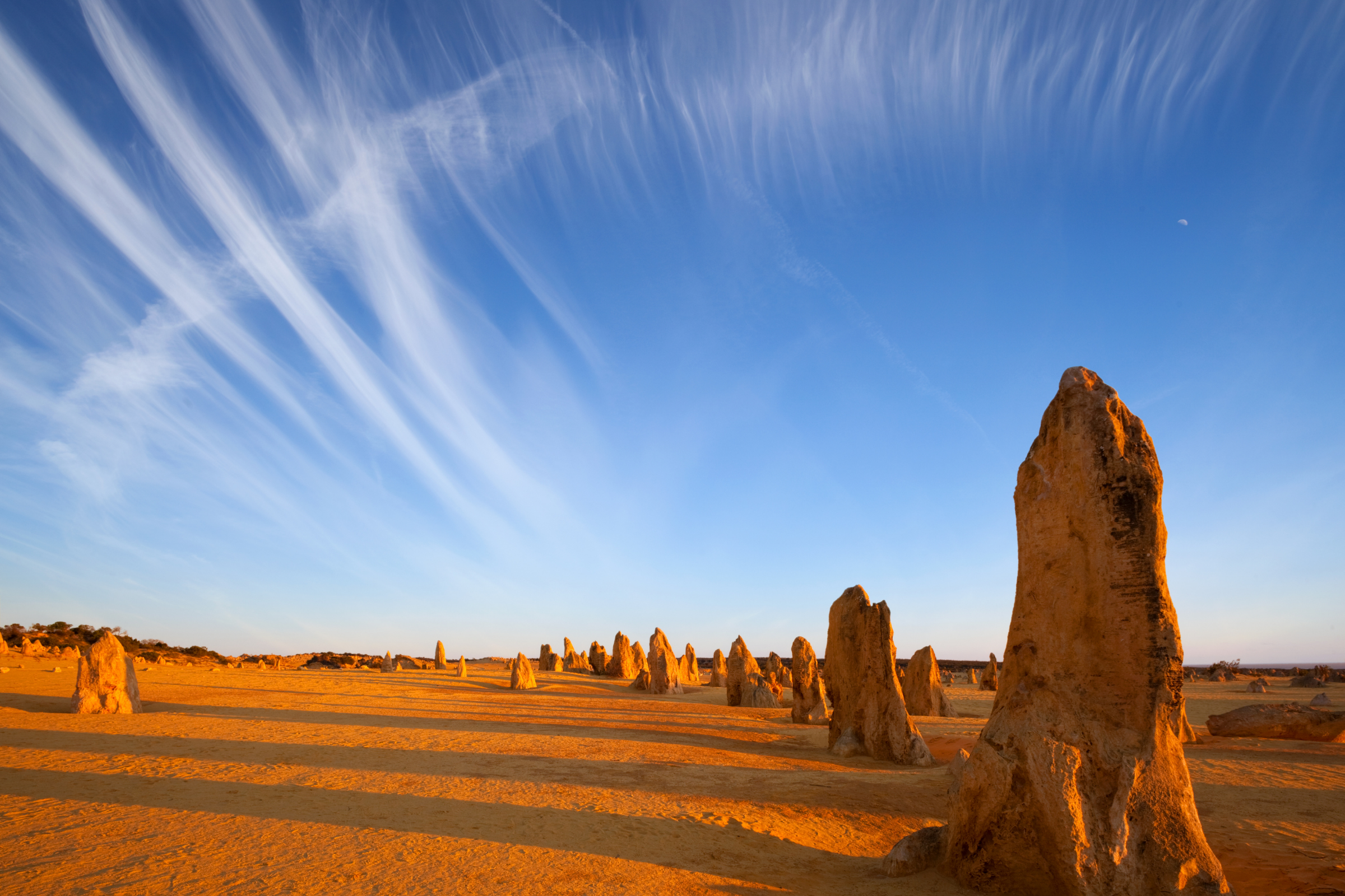 rowley shoals, western australia (3).webp